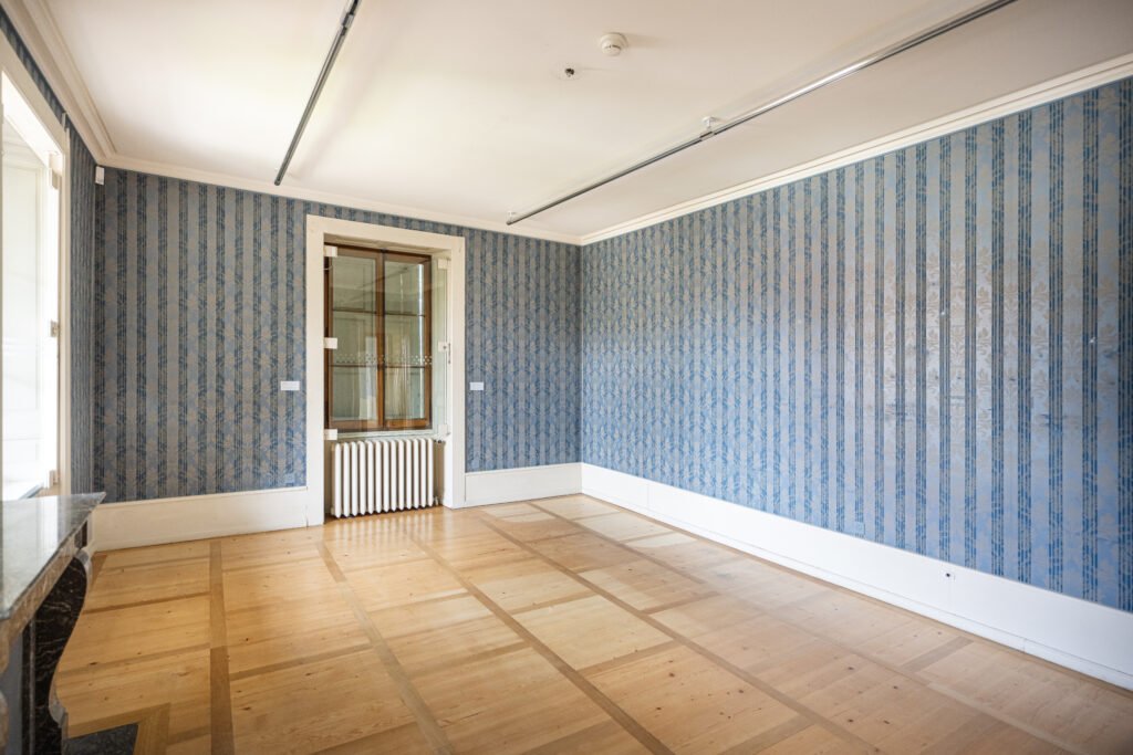 The Salon bleu reduced to its architectural substance