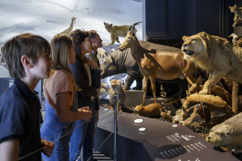 museum zürich